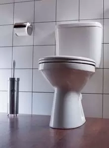 Унитаз-компакт Анимо прямой выпуск Сиденье полипропилен 1WH110035