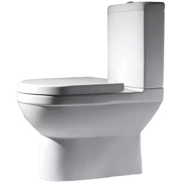 Бачок унитаза New Moon CY01019W-RUS CY01014W-RUS Bravat