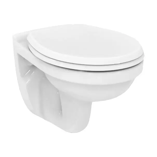 Унитаз подвесной+сиденье с микролифтом SETE406661