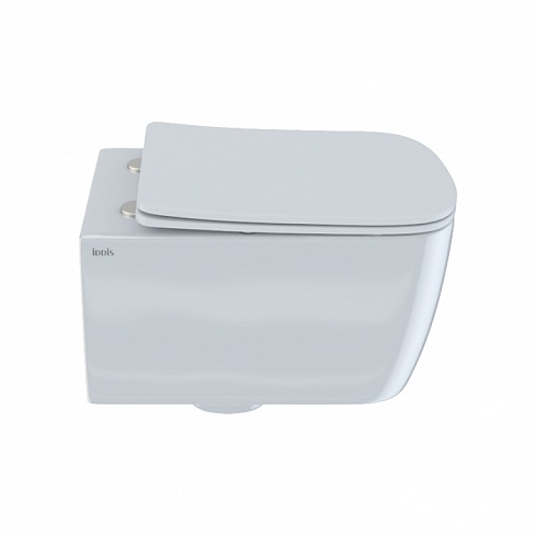 Унитаз подвесной безободковый с сиденьем микролифт Bridge BRIRDSEi25 IDDIS