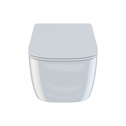 Унитаз подвесной безободковый с сиденьем микролифт Bridge BRIRDSEi25 IDDIS