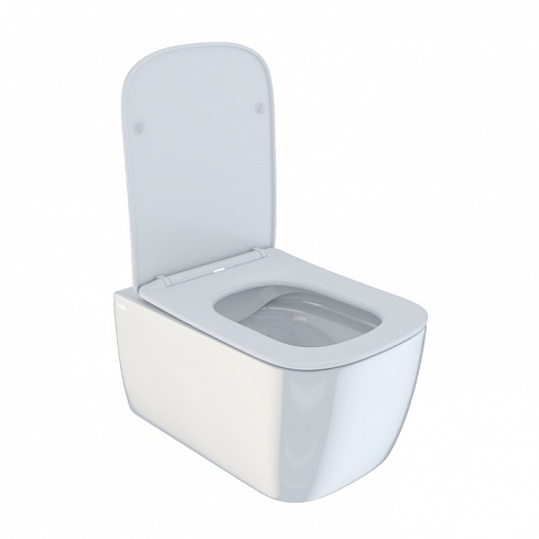 Унитаз подвесной безободковый с сиденьем микролифт Bridge BRIRDSEi25 IDDIS