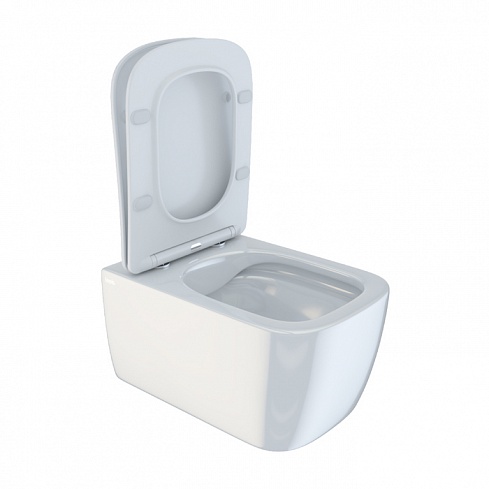 Унитаз подвесной безободковый с сиденьем микролифт Bridge BRIRDSEi25 IDDIS