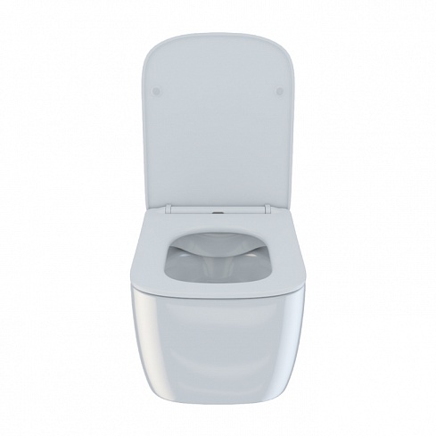 Унитаз подвесной безободковый с сиденьем микролифт Bridge BRIRDSEi25 IDDIS