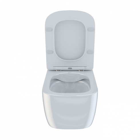 Унитаз подвесной безободковый с сиденьем микролифт Bridge BRIRDSEi25 IDDIS