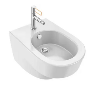 Биде подвесное 54х36 см, белое Odeon RG EMG0002-00 J. Delafon