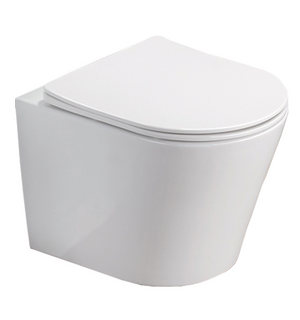 Унитаз подвесной Teramo 480х365х360 безободковый с сидением микролифт белый AZ-0053 SP Azario