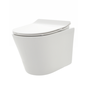 Унитаз подвесной с сиденьем SoftClose, технология смыва Rimless, скрытый крепеж  AQM2001 AQUAme