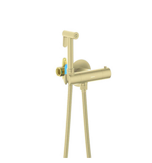 Встраиваемый гигиенический комплект Оберон AQ1027BG шлифованное золото Aquatek