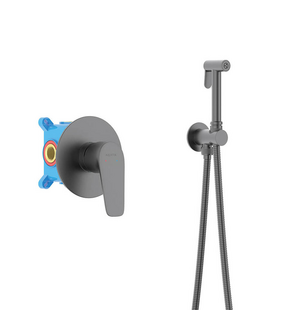 Встраиваемый гигиенический комплект Бетта AQ1119BGM оружейная сталь Aquatek