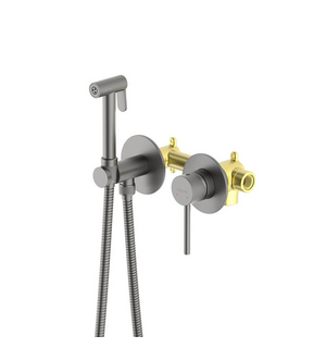 Встраиваемый гигиенический комплект Европа AQ1319BGM оружейная сталь Aquatek