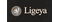 Ванна стальная 120х70х38 ТТ000016157 Ligeya