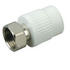 Муфта PPRC с накидной гайкой 20х1/2 00000004905 MeerPlast