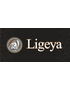 Ligeya логотип